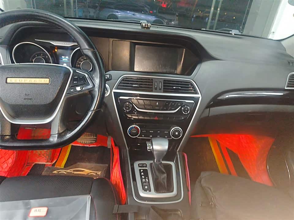 Leopaard Cheetah CS10