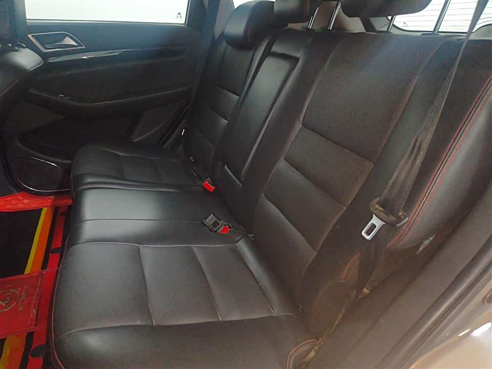 Leopaard Cheetah CS10