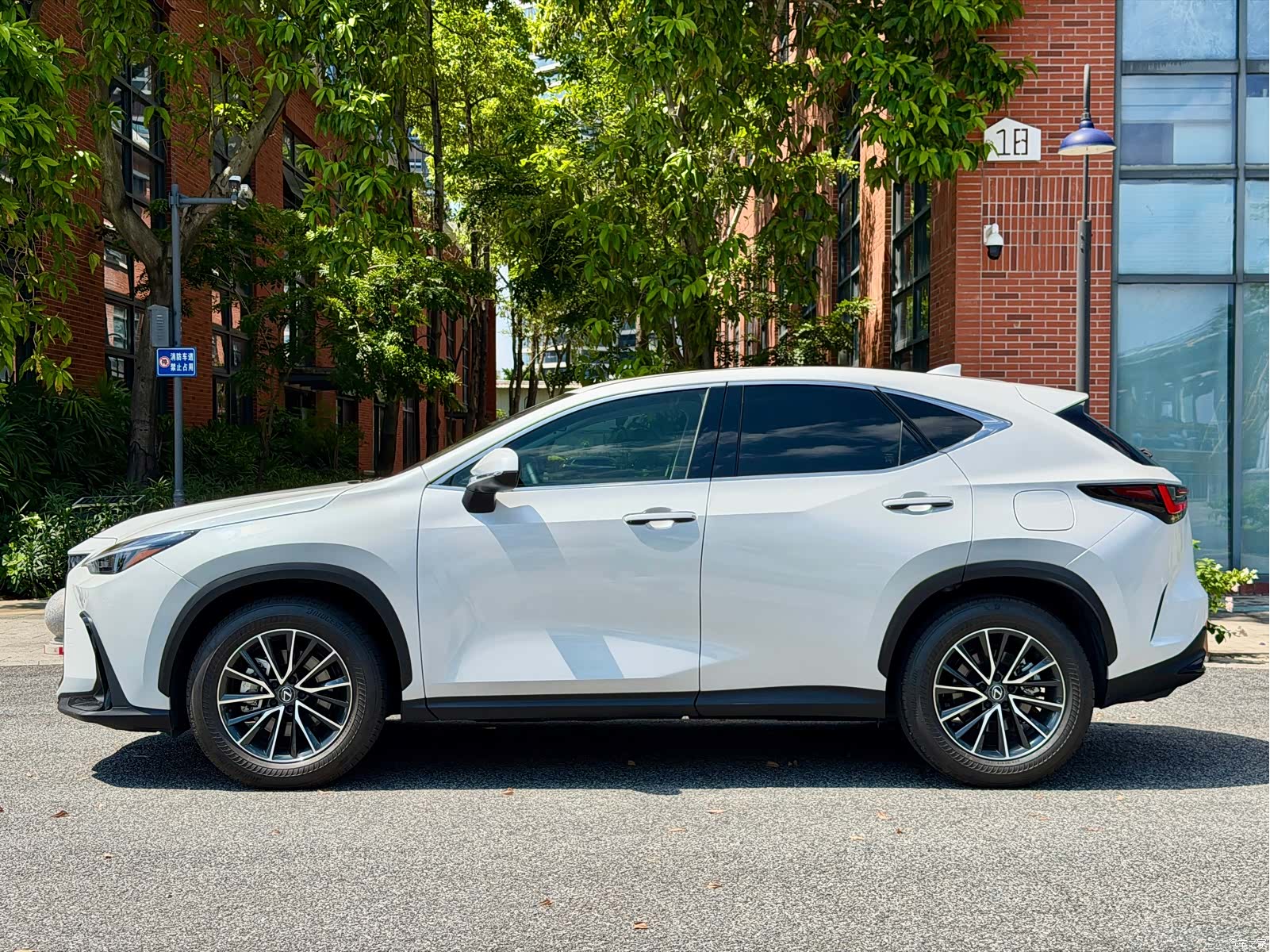 Lexus NX, 2024 2