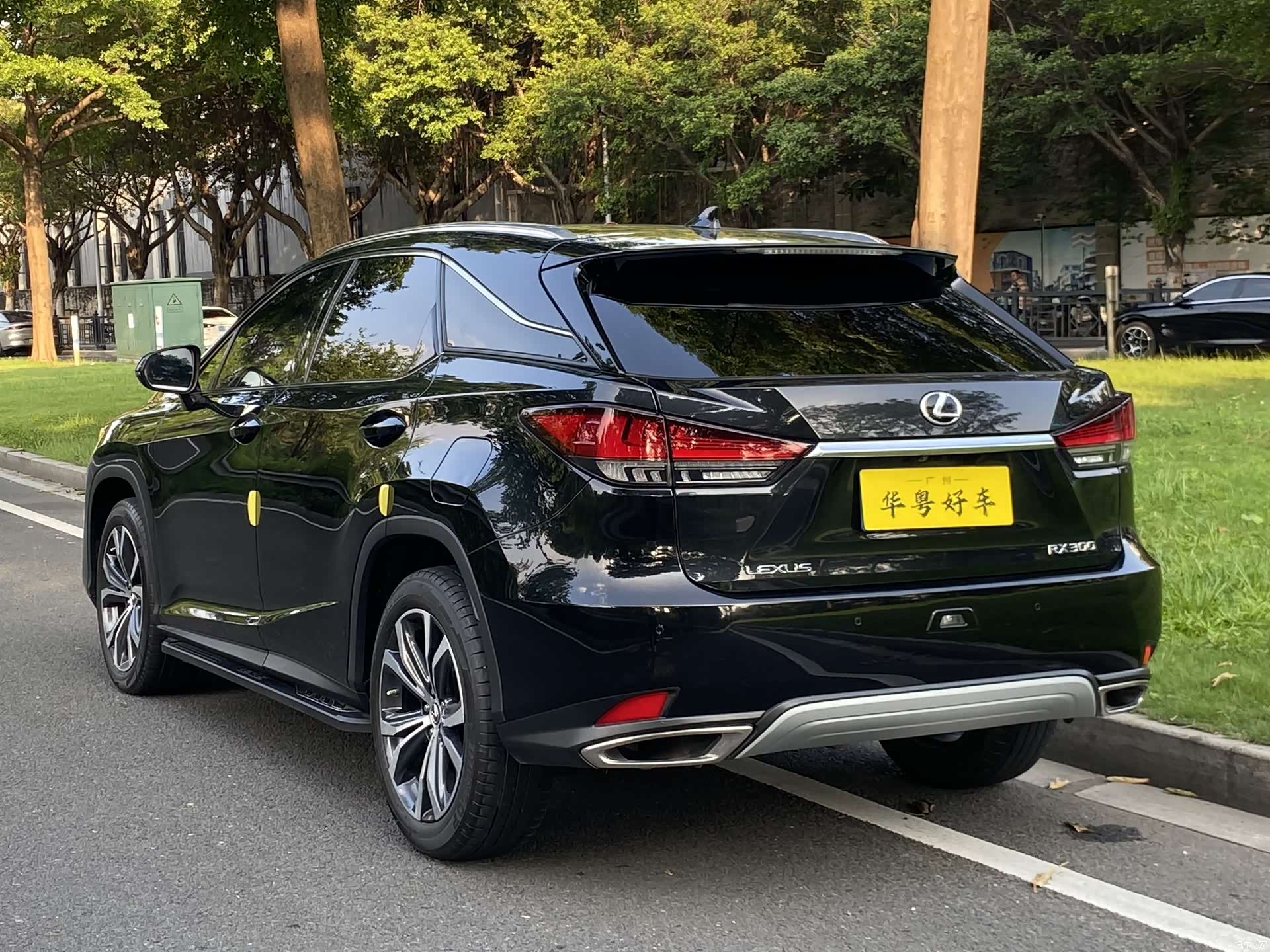 Lexus RX, 2022 4