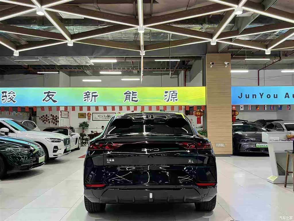 BYD Song, 2024 6