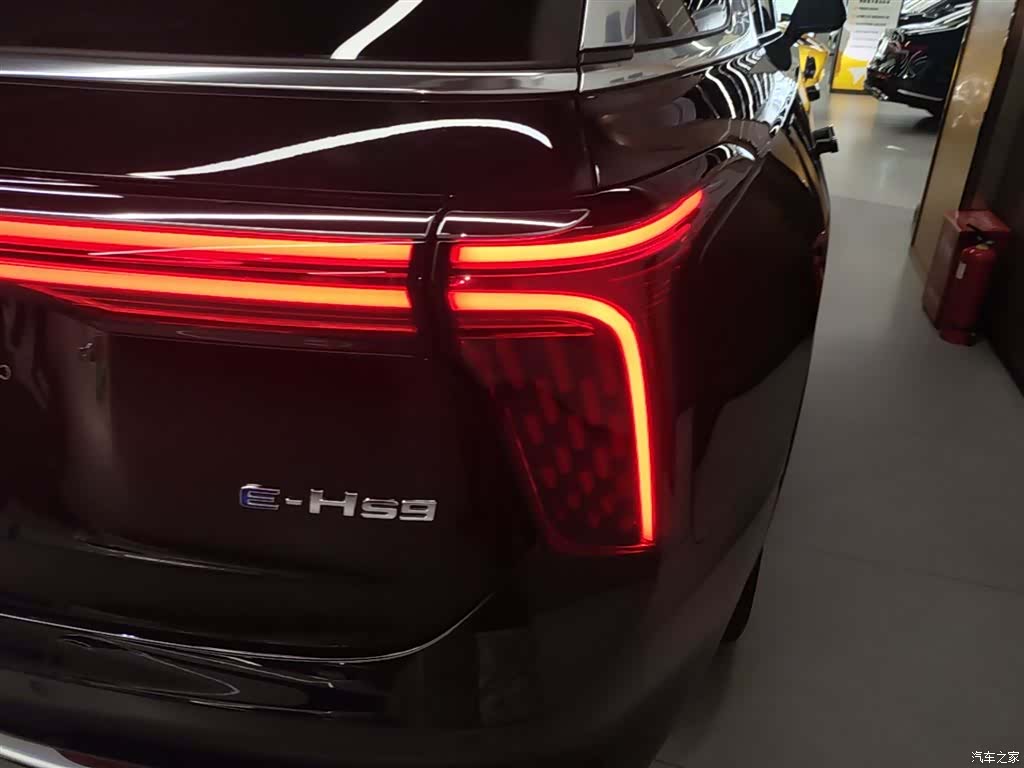 Hongqi E-HS9, 2023 8