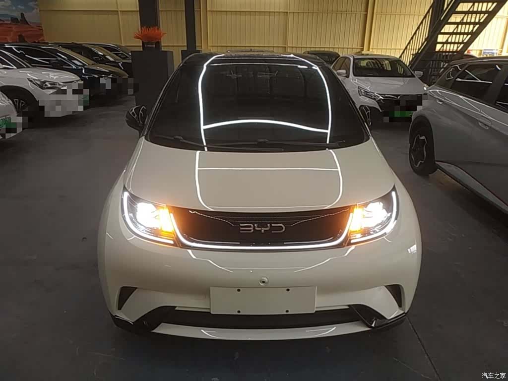 BYD Dolphin, 2025 3