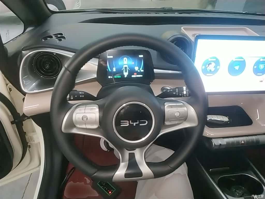 BYD Dolphin, 2025 11