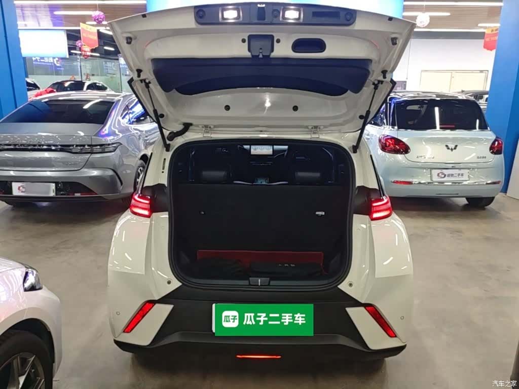 BYD Seagull, 2024 19