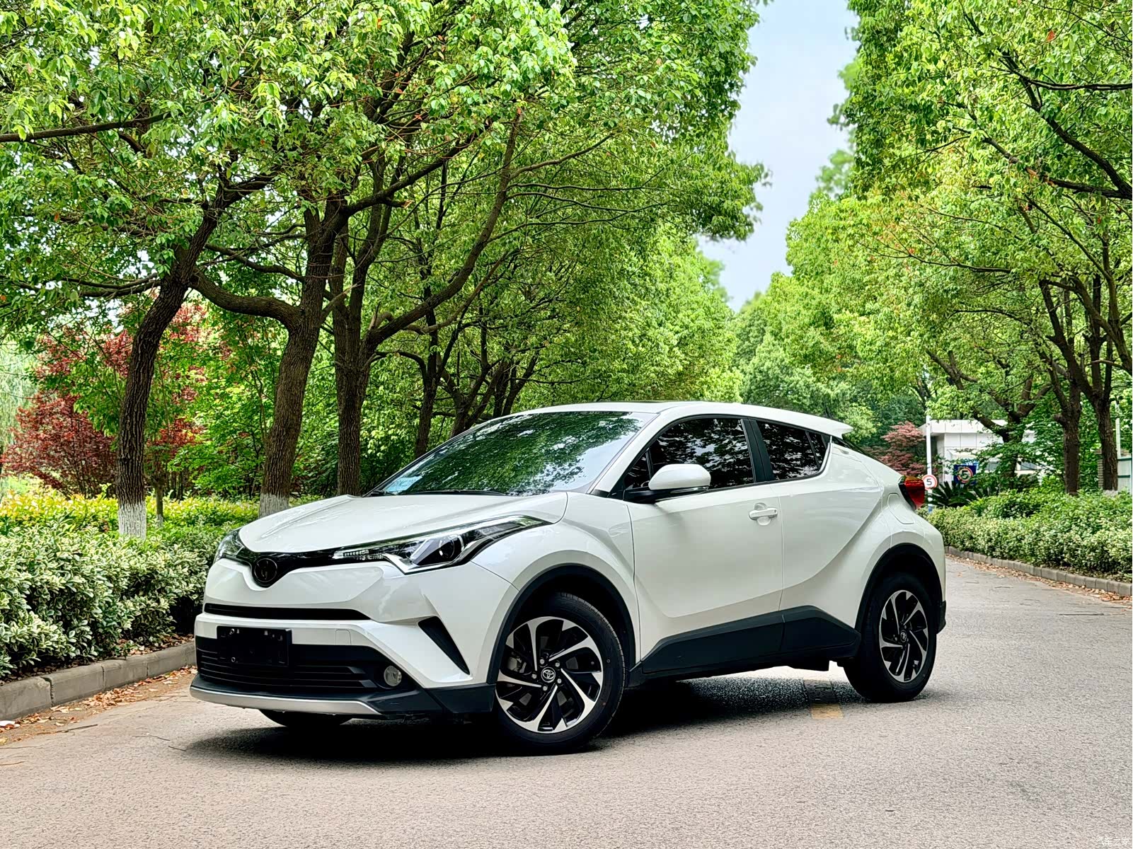 Toyota IZOA, 2019 1