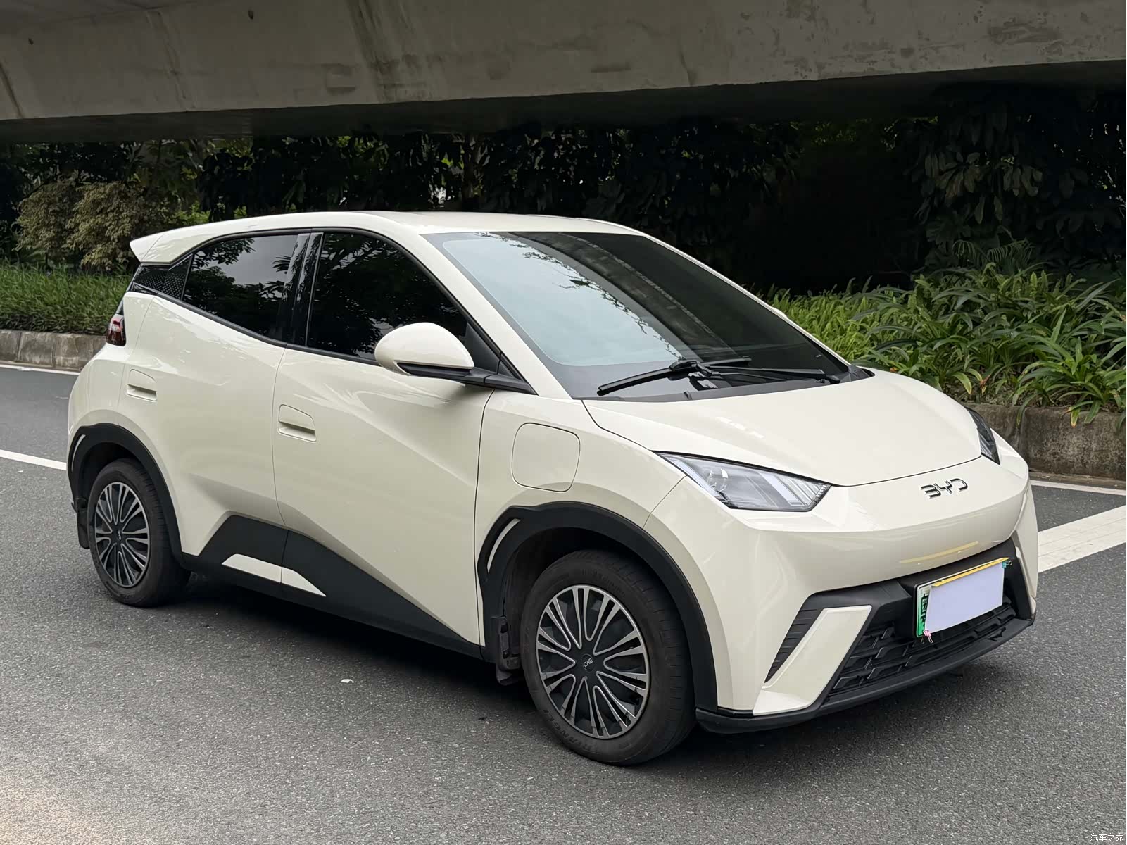 BYD Seagull, 2025 3