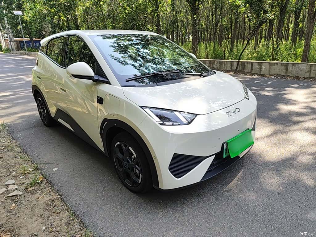 BYD Seagull, 2025 22