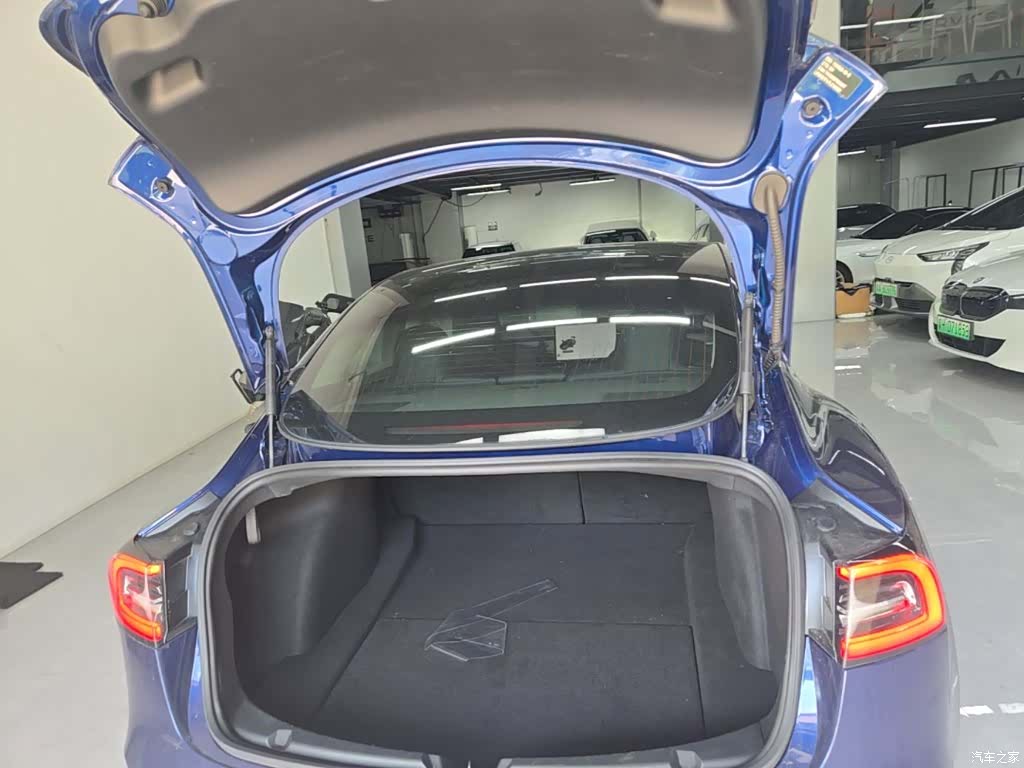 Tesla Model 3, 2020 19