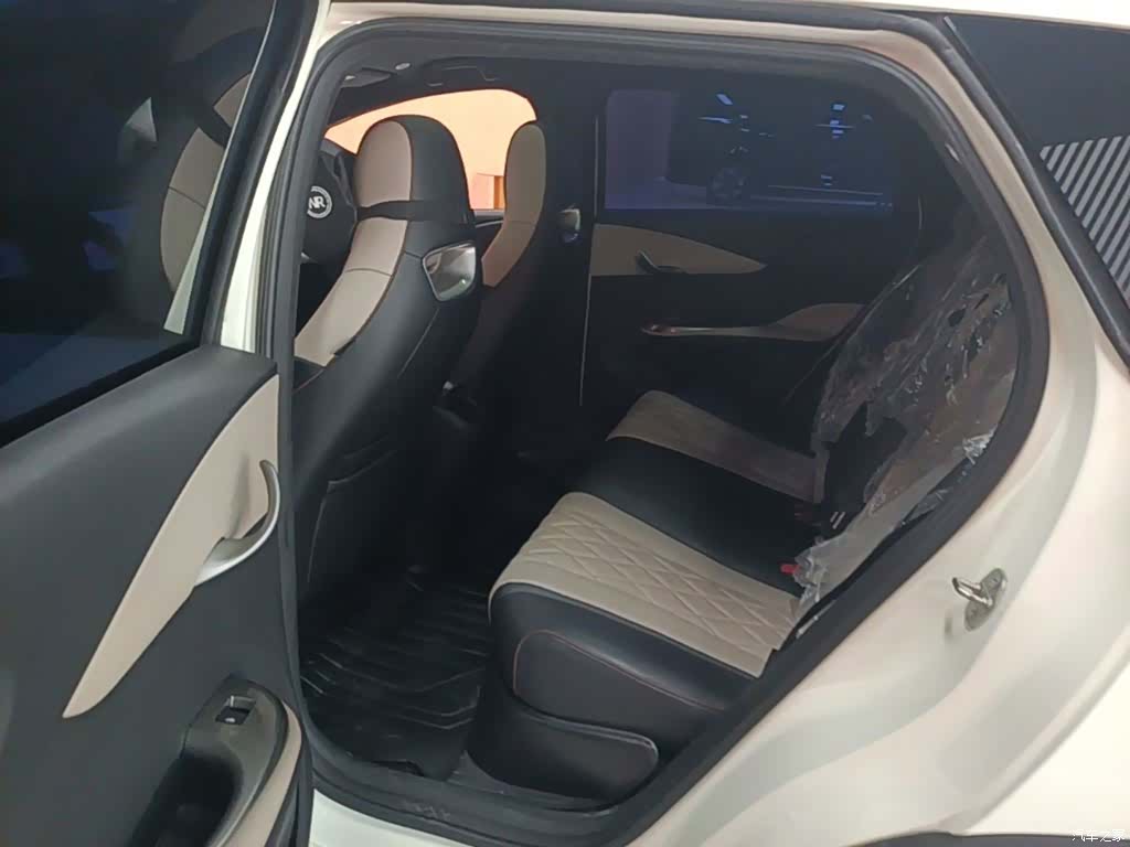 BYD Dolphin, 2023 17