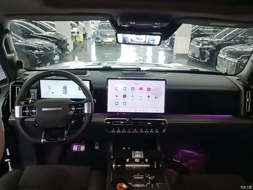 Mengshi 917, 2023 10