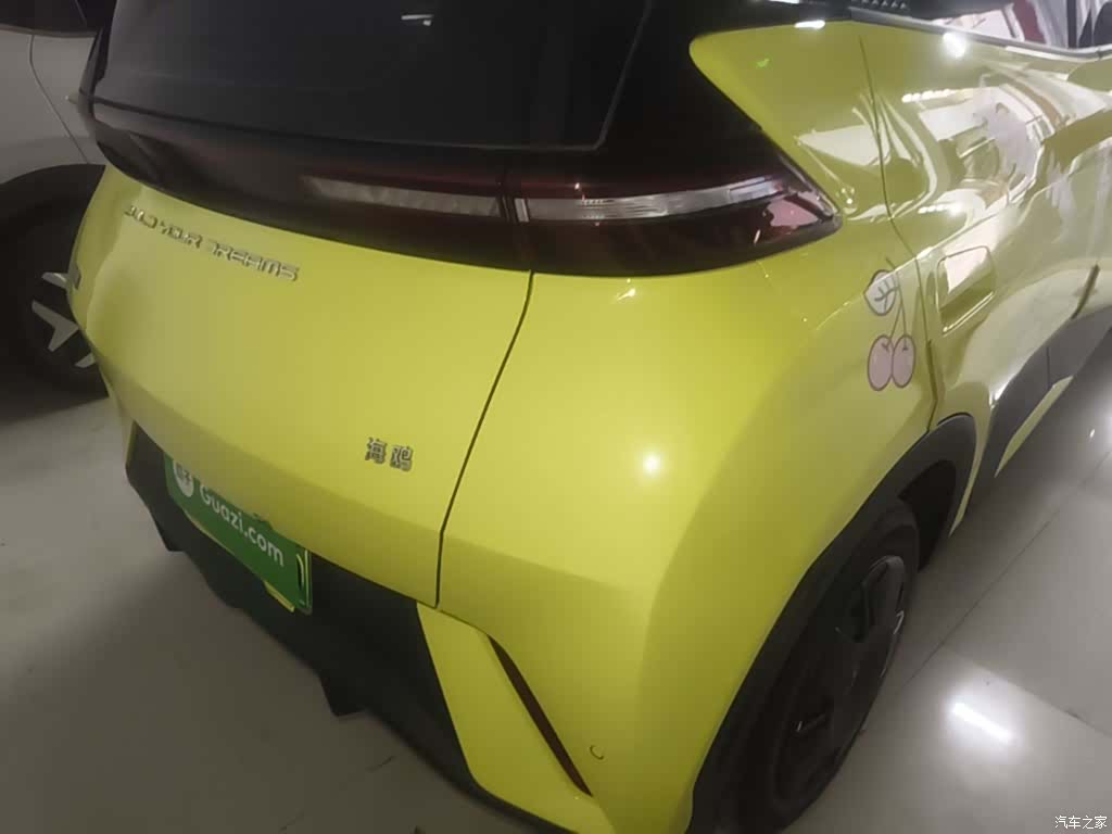 BYD Seagull, 2024 8