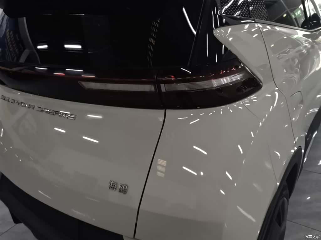 BYD Seagull, 2024 8