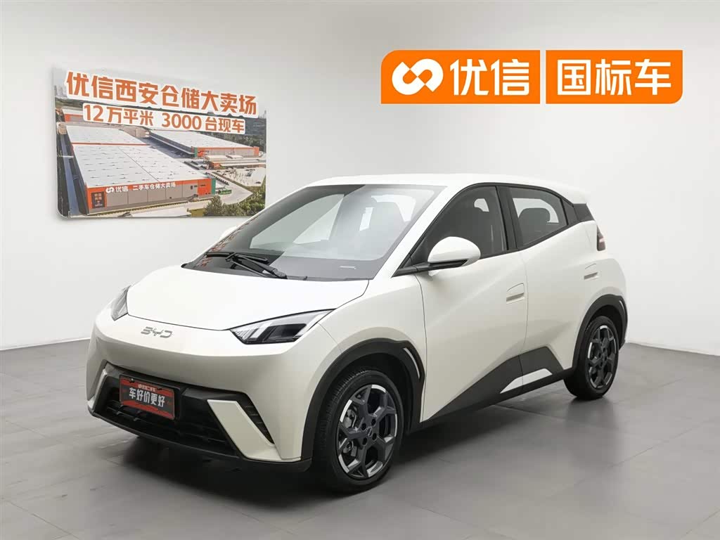 BYD Seagull