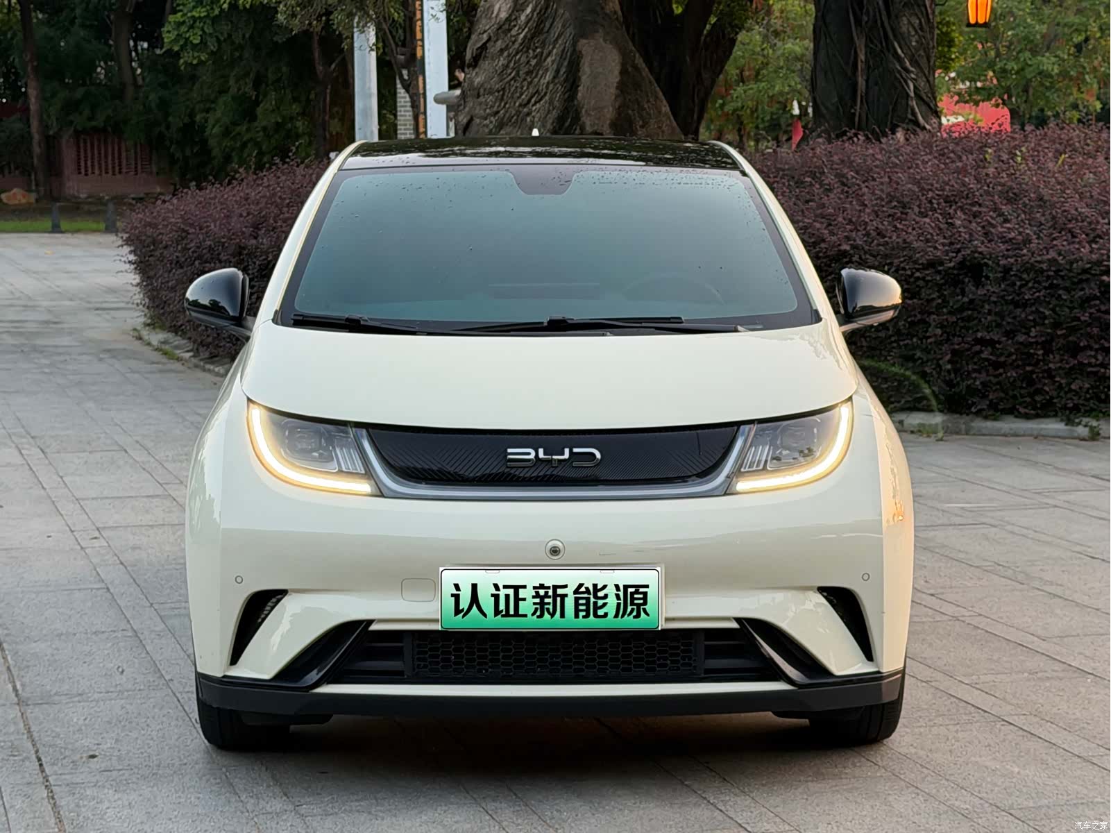 BYD Dolphin, 2024 2