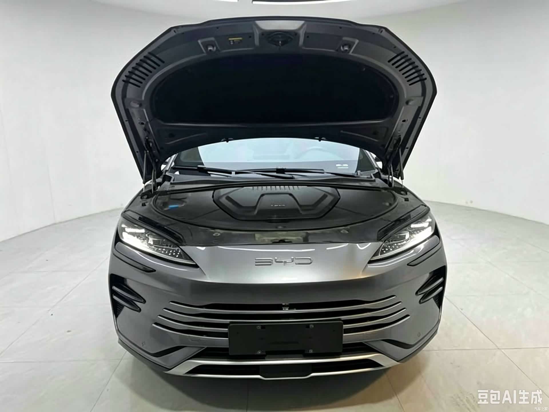 BYD Song, 2024 8