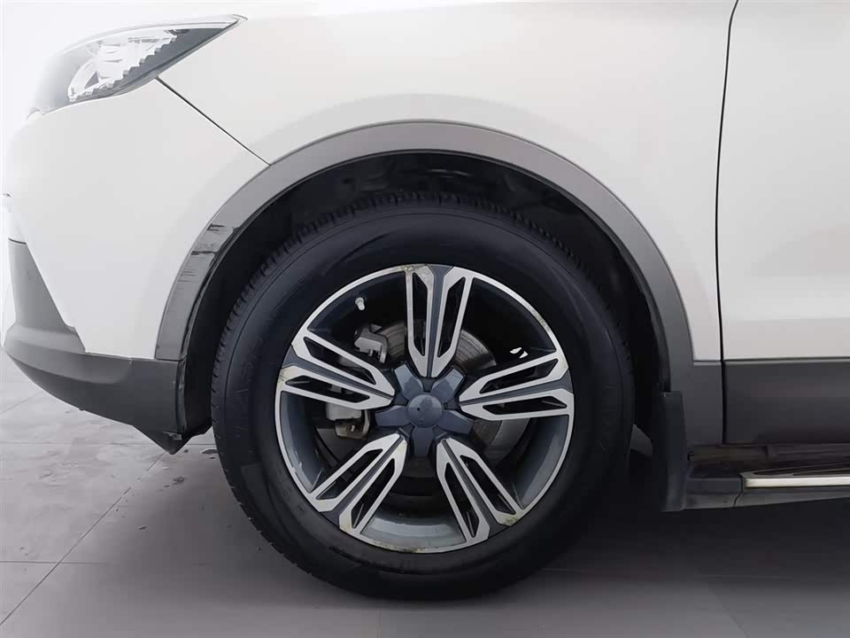 Leopaard Cheetah CS10