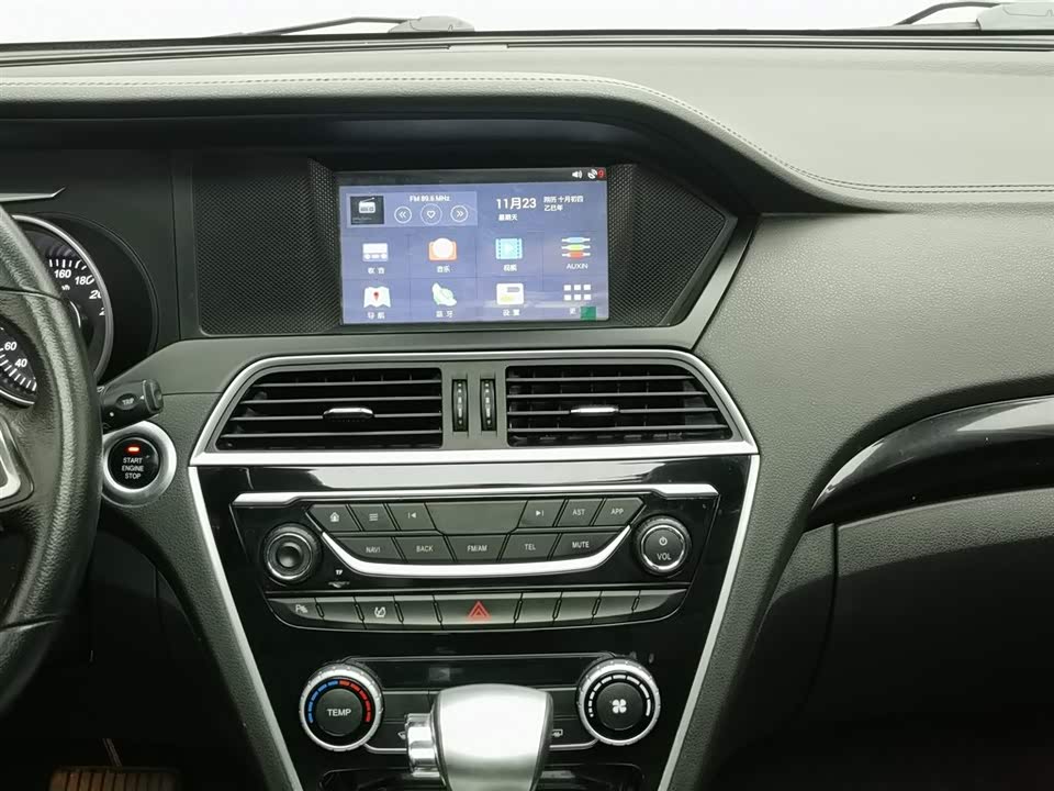 Leopaard Cheetah CS10