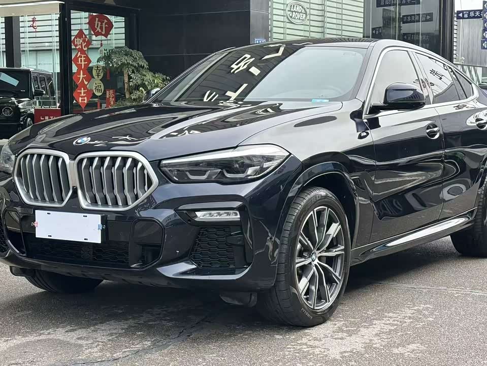 BMW X6