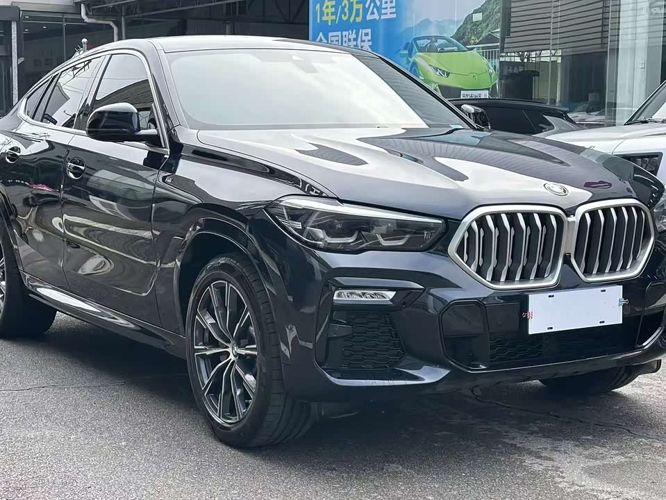 BMW X6