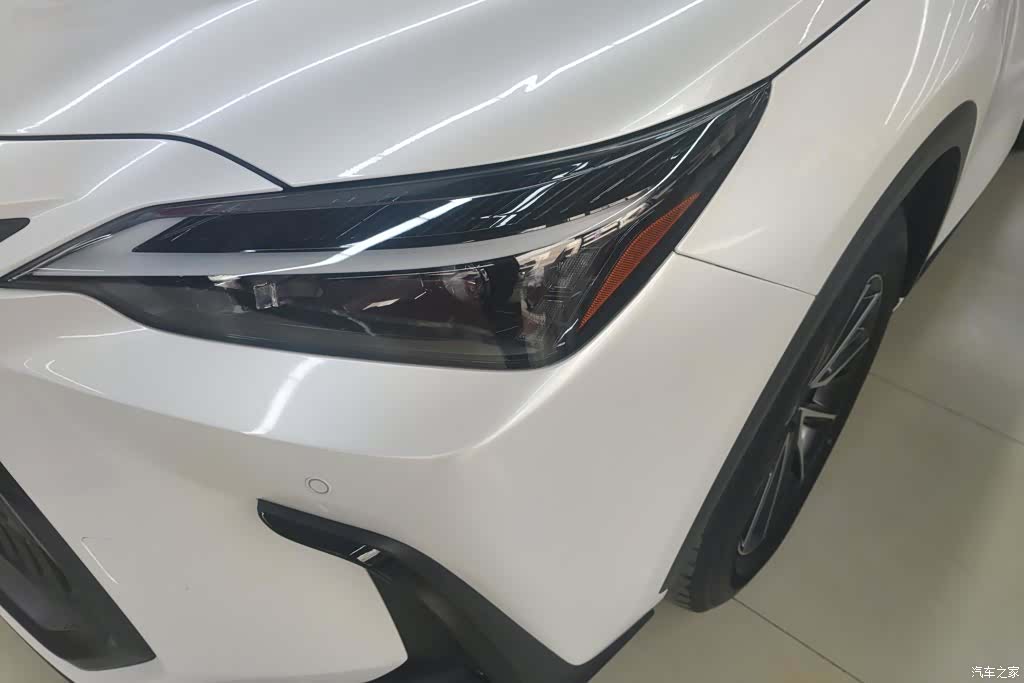 Lexus NX, 2023 все фото