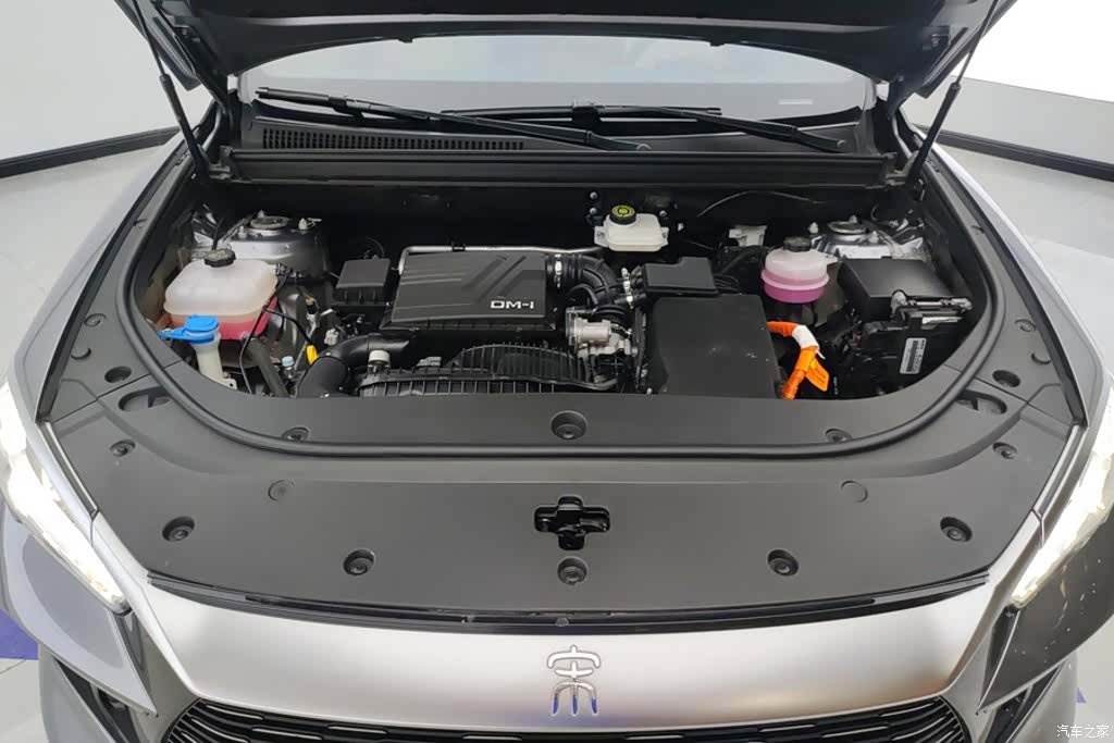 BYD Song, 2024 10