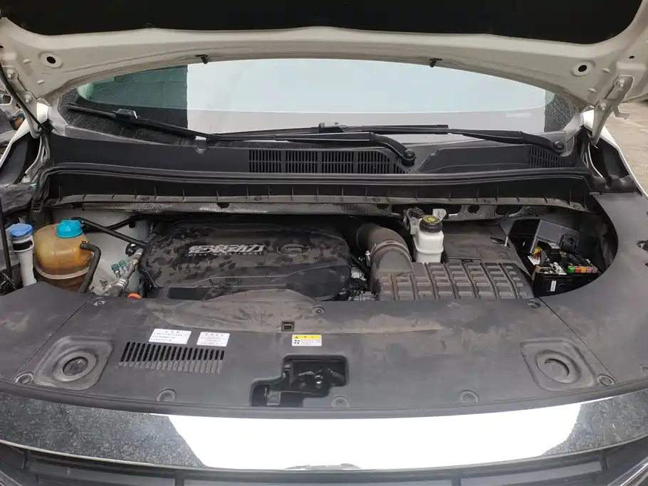 Trumpchi Trumpchi M8