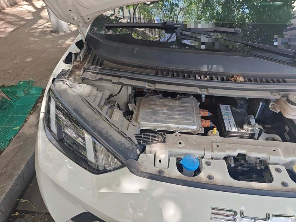 BYD Seagull, 2023 22