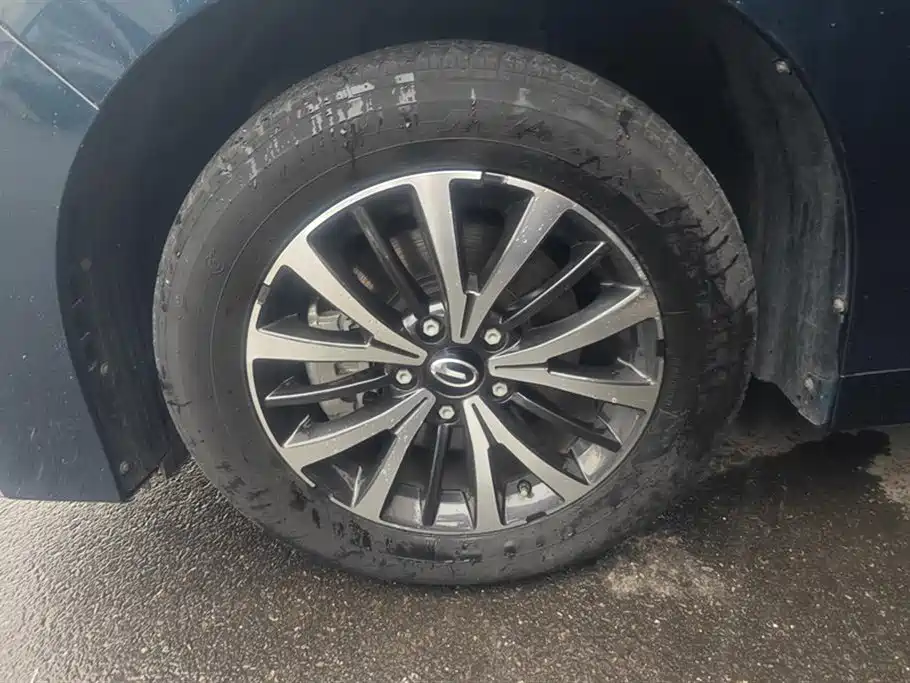 Trumpchi Trumpchi M8