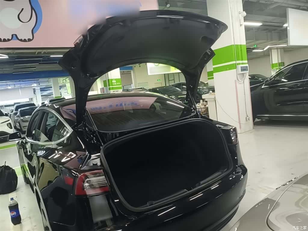 Tesla Model 3, 2020 15