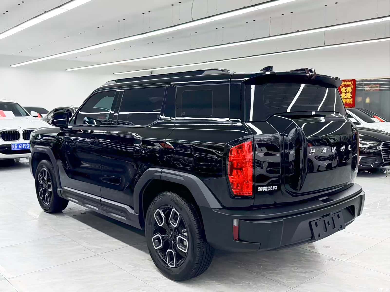 Haval Cool Dog, 2022 4