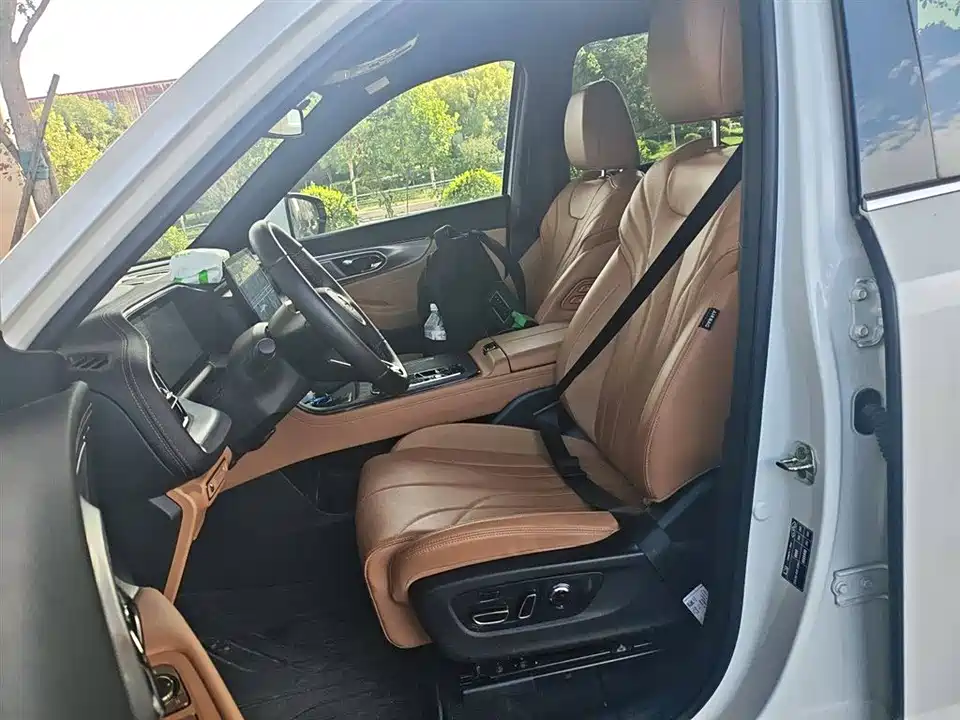 Trumpchi Trumpchi ES9