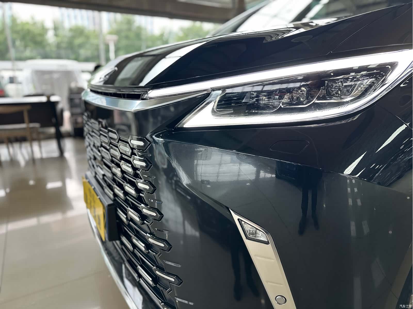Lexus LM, 2024 все фото