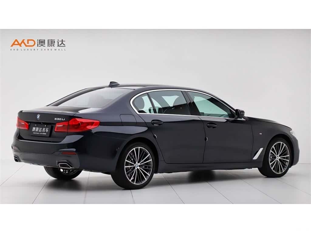 BMW 5 Series, 2020 3