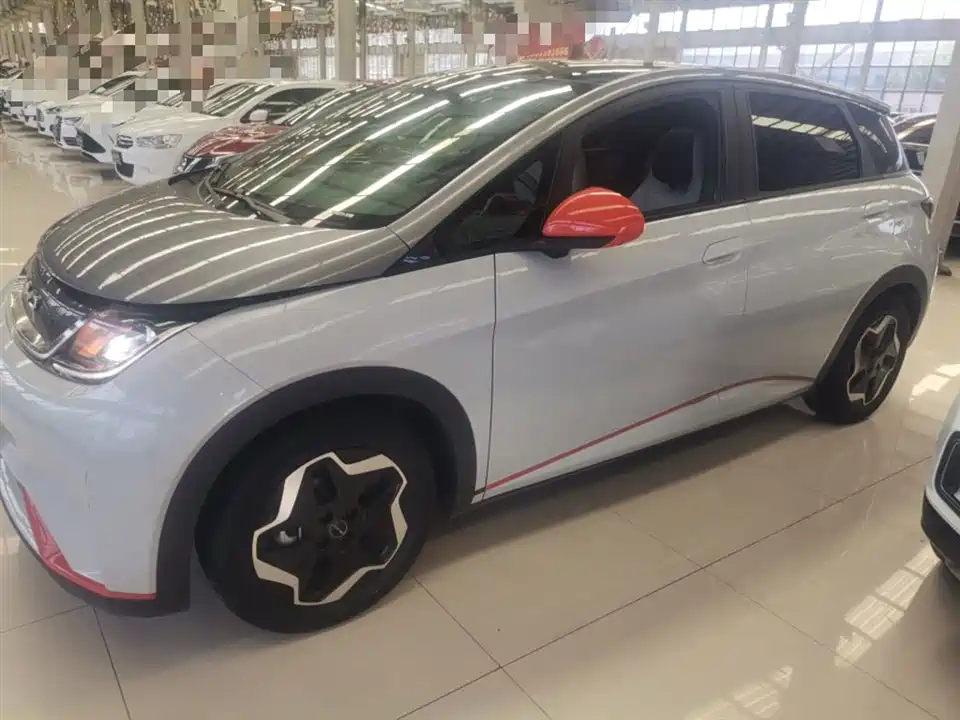 BYD dolphin