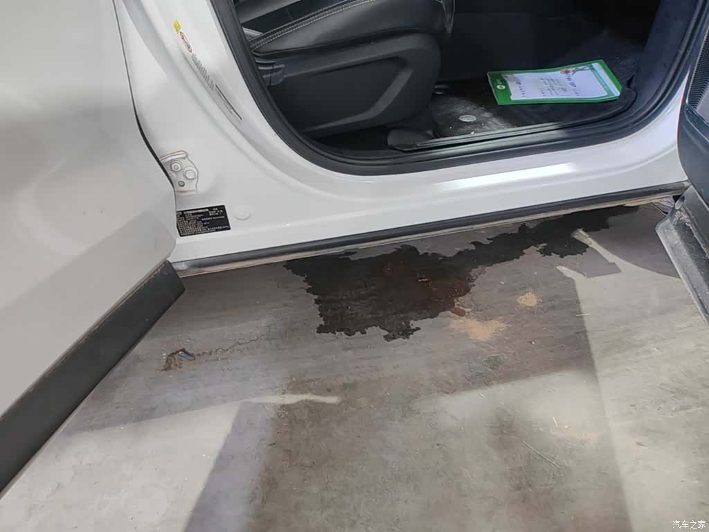 BYD Song, 2019 21