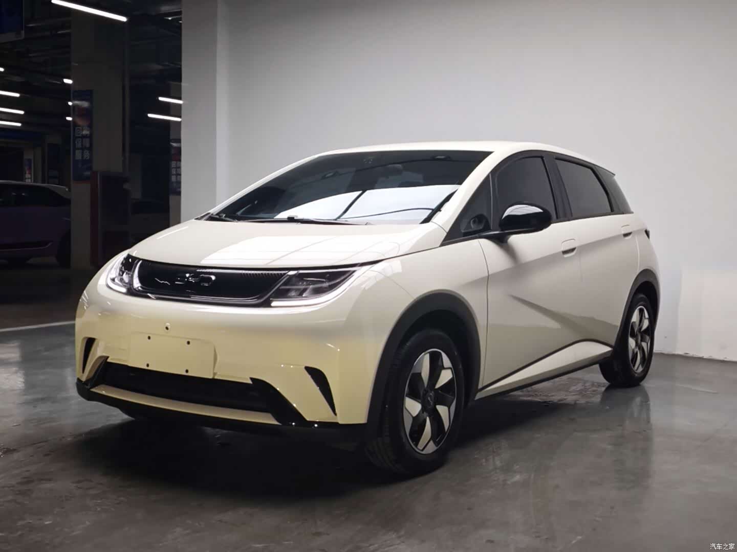 BYD Dolphin, 2025 1