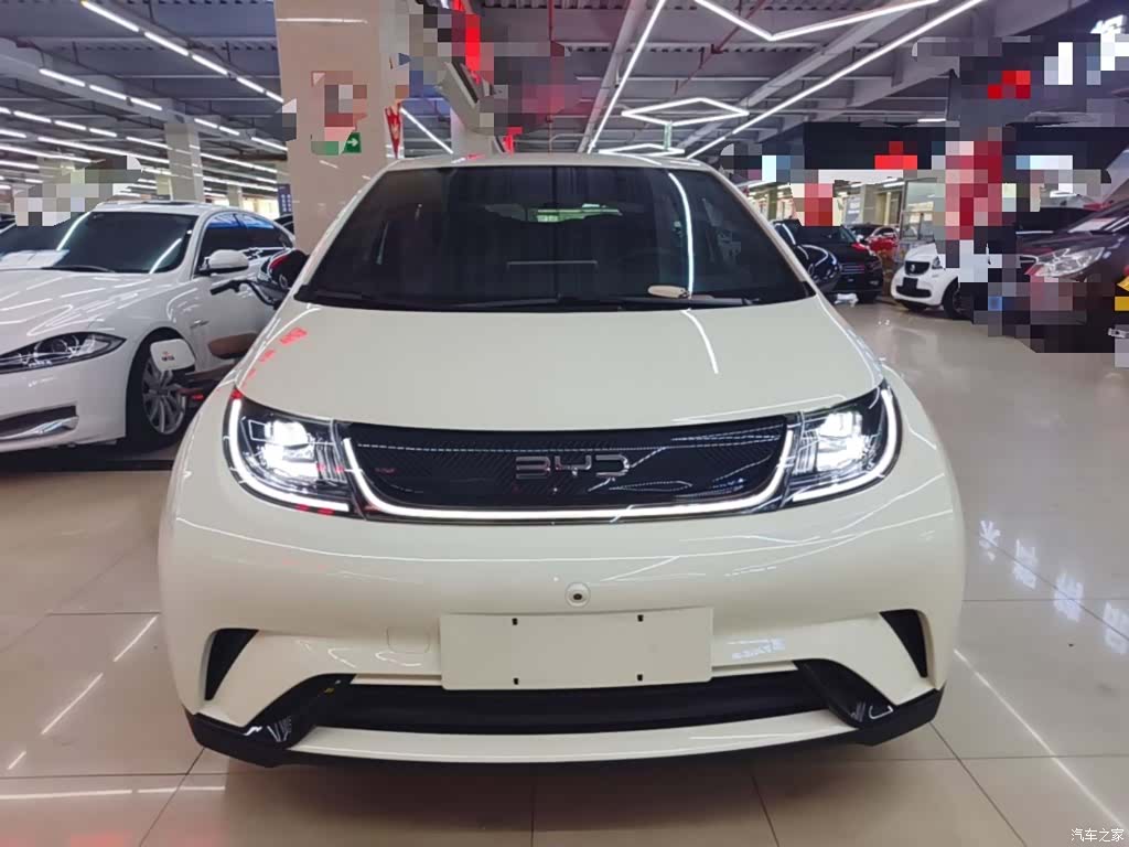 BYD Dolphin, 2024 3