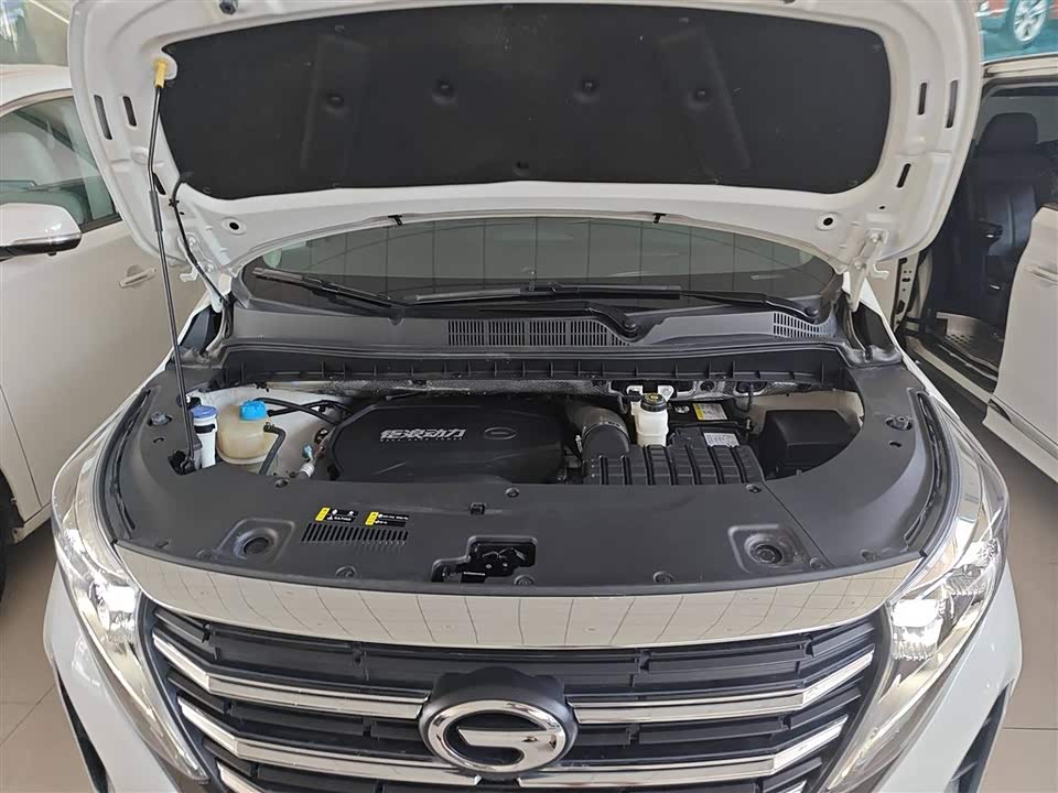 Trumpchi Trumpchi M8