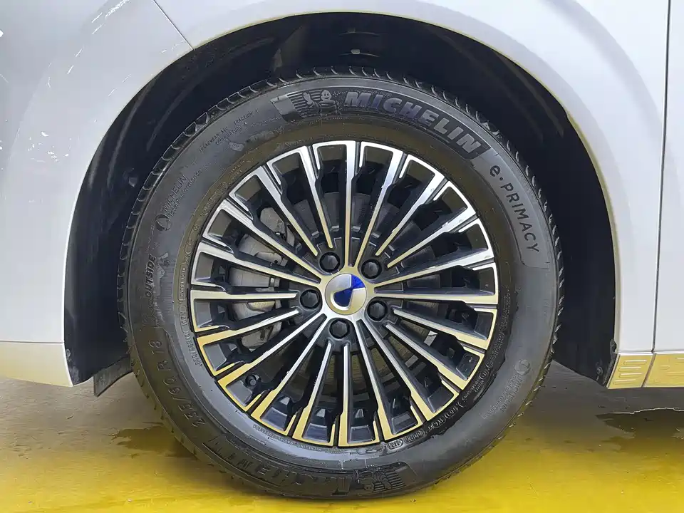 Denza D9