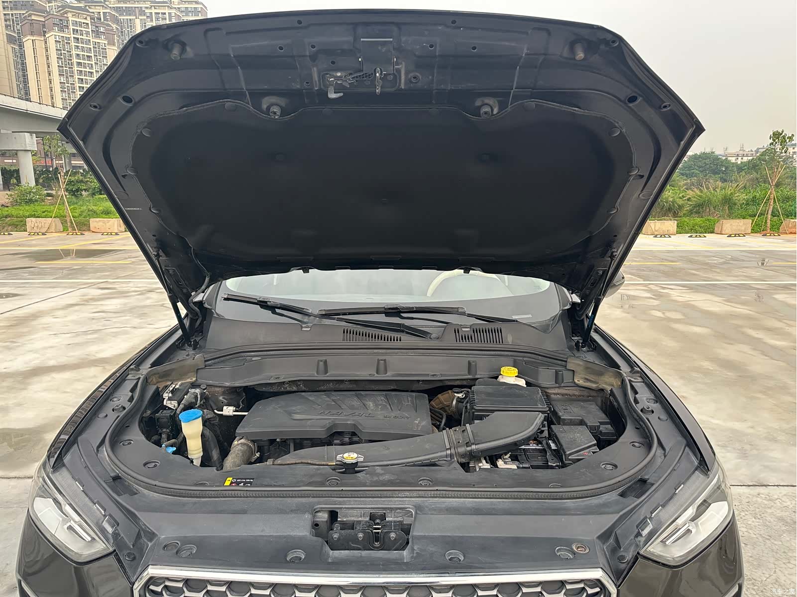 Haval F5, 2019 7