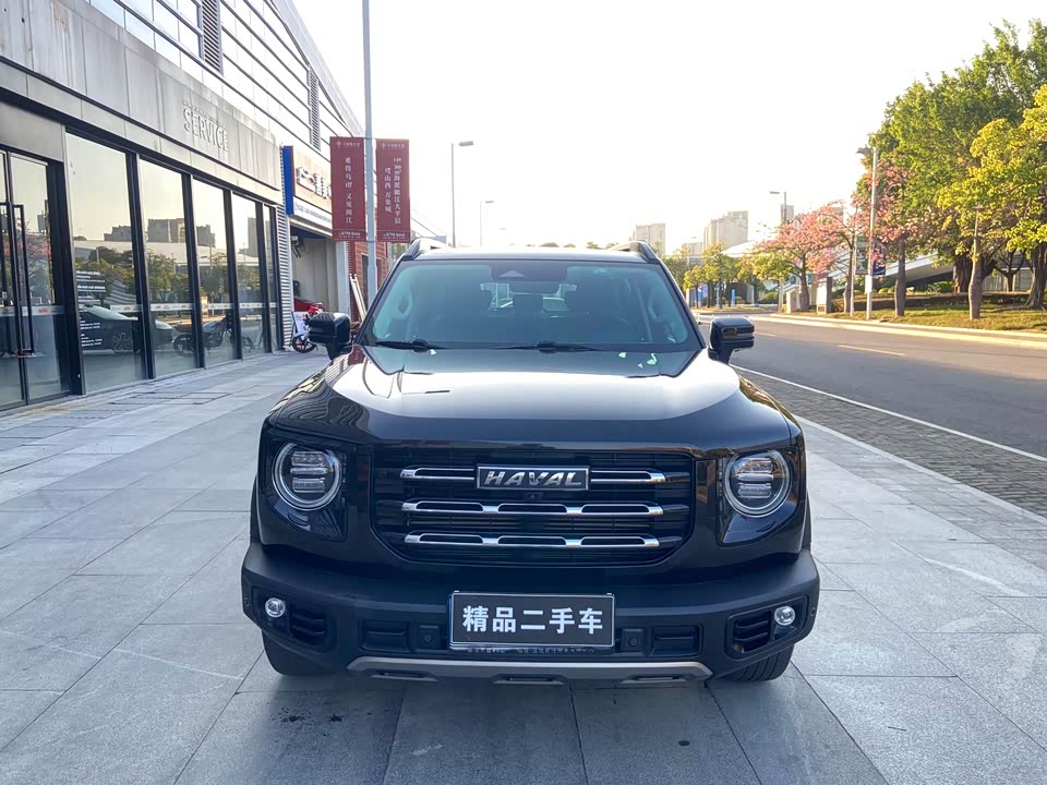 Haval Big dog