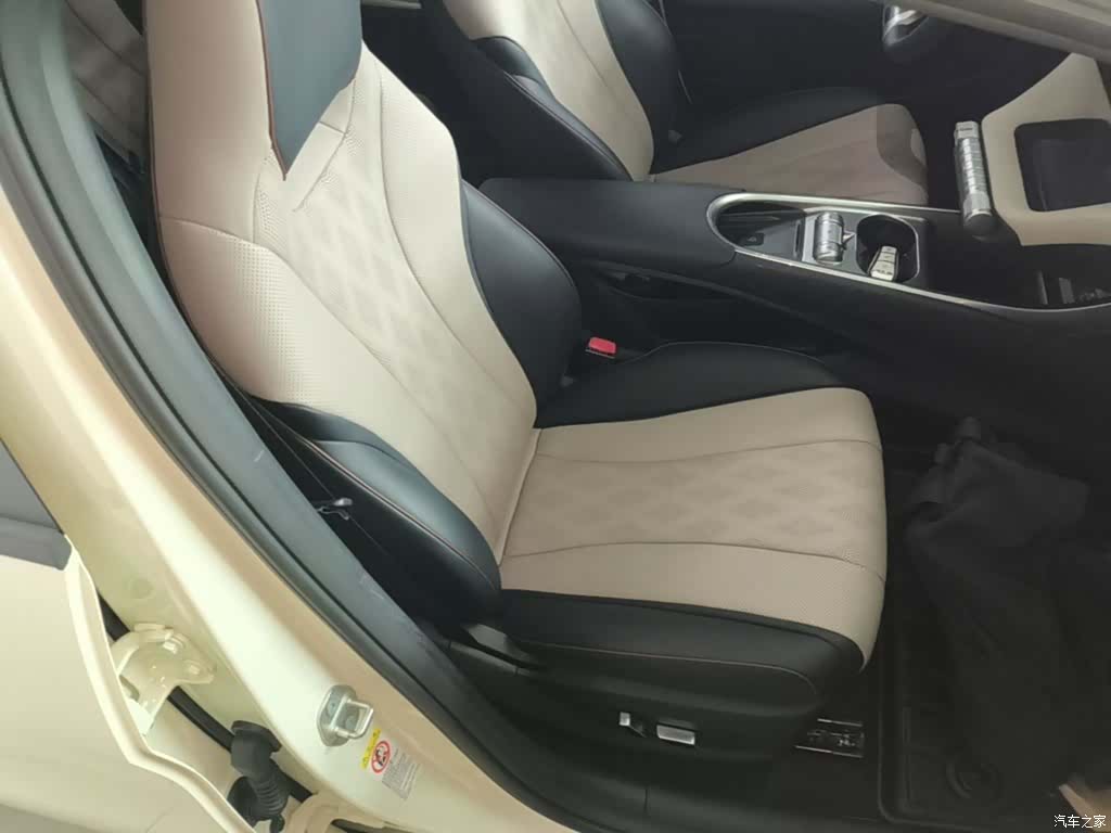 BYD Dolphin, 2024 25