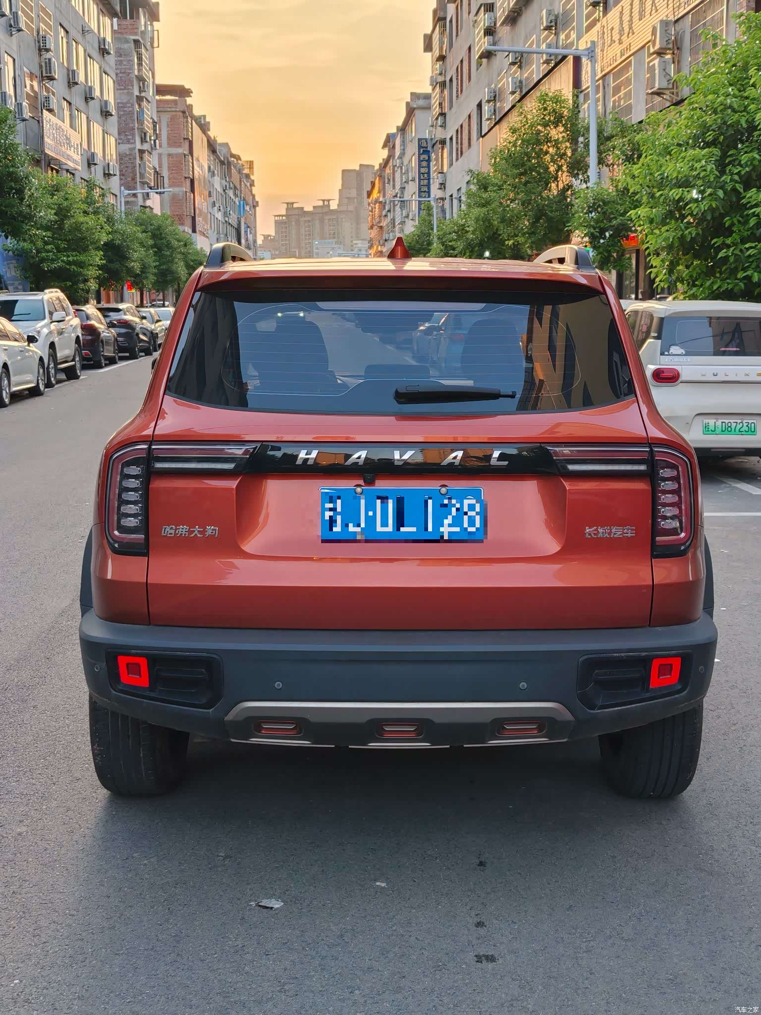 Haval Big Dog, 2021 6