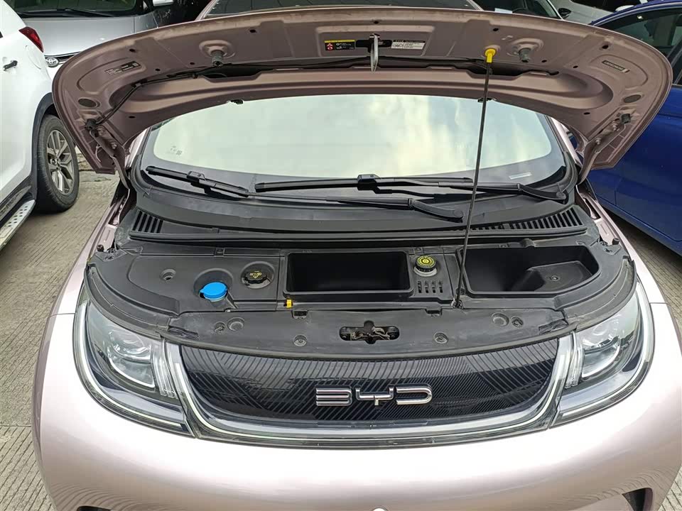 BYD dolphin