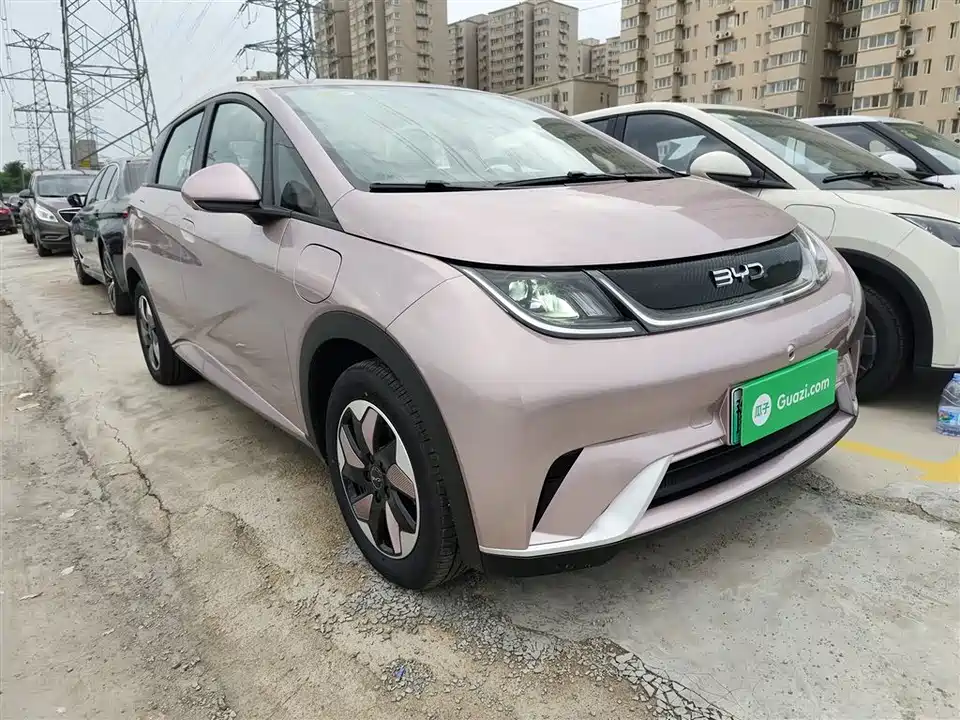 BYD dolphin