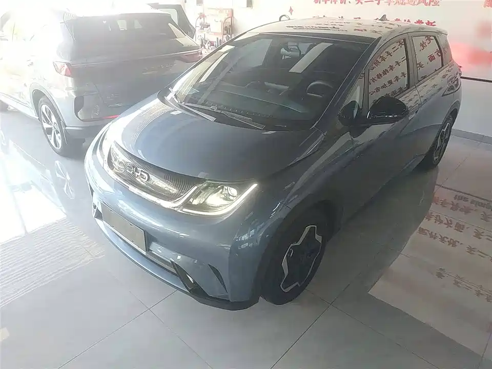 BYD dolphin