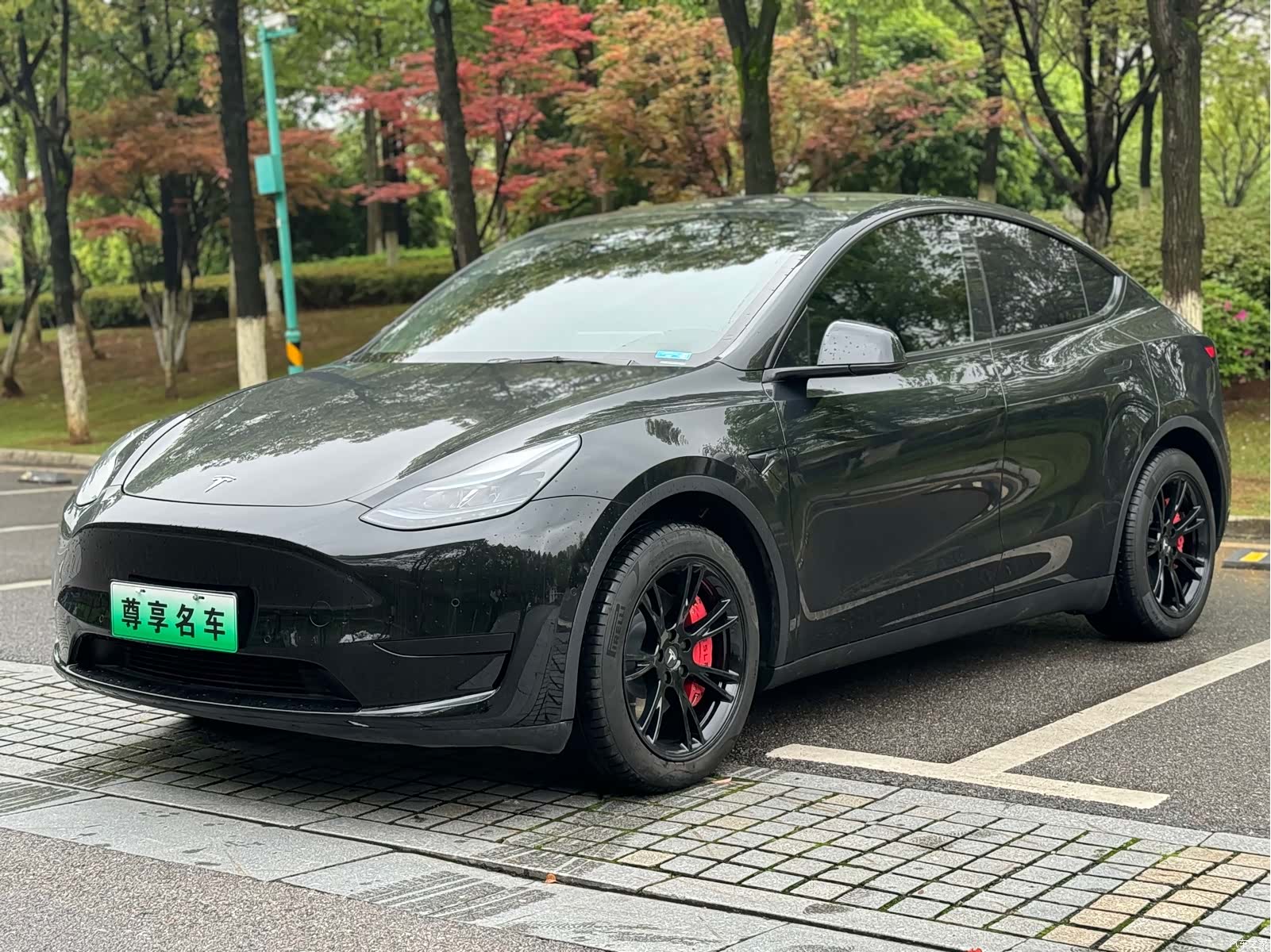 Tesla Model Y, 2023 1