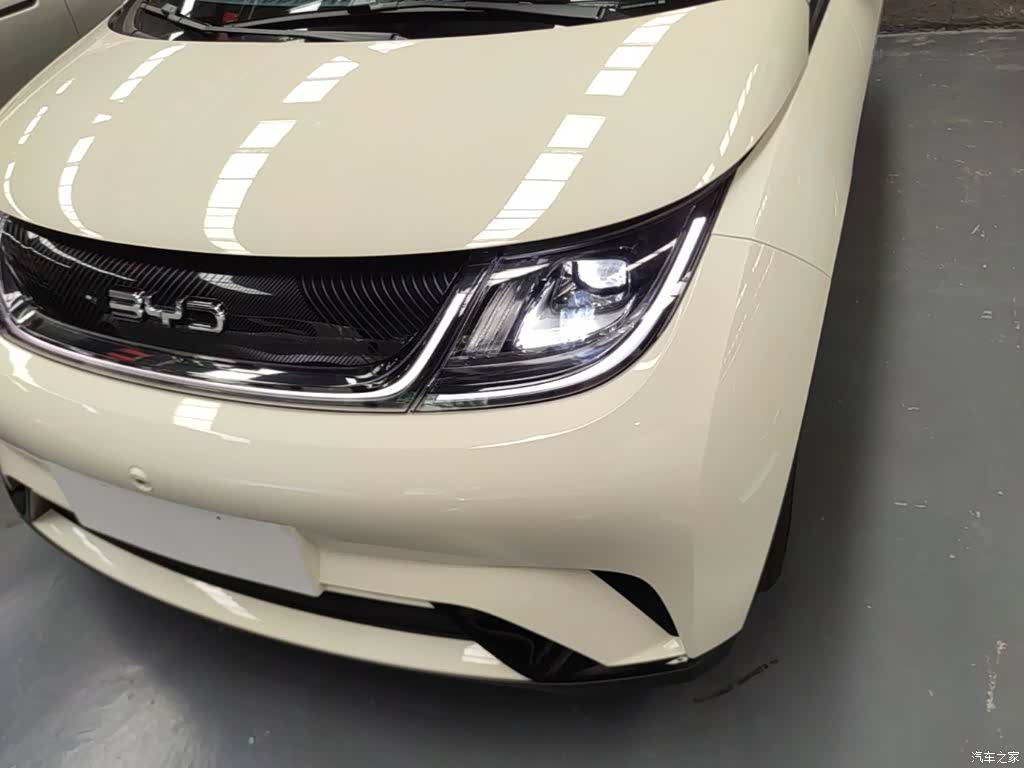 BYD Dolphin, 2026 24