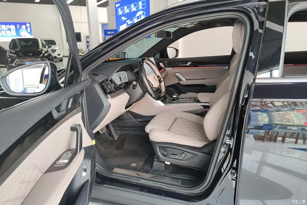 BYD Tang, 2024 9
